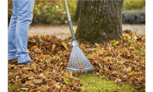 Balai á gazon Gardena reglable NatureLi FSC100% Gardena GARDENA Balai á gazon Gardena reglable NatureLi FSC100% - ABMAROC | Vente de matériel de bricolage, jardinage, électroportatif en ligne - maroc Bricolage Balai á gazon Gardena reglable NatureLi FSC100%