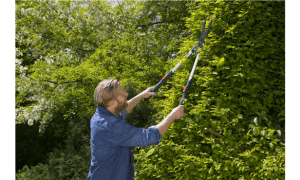 Cisaille haie GardenaTeleCut Télascopique