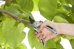 Secateur Gardena Alu B/L