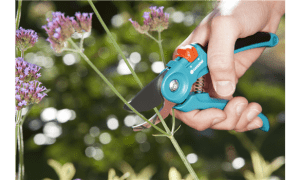 Secateur Gardena B/S